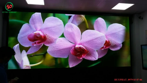 Màn hình led P2 phòng họp - CTy Tech Link Silicones VN | 